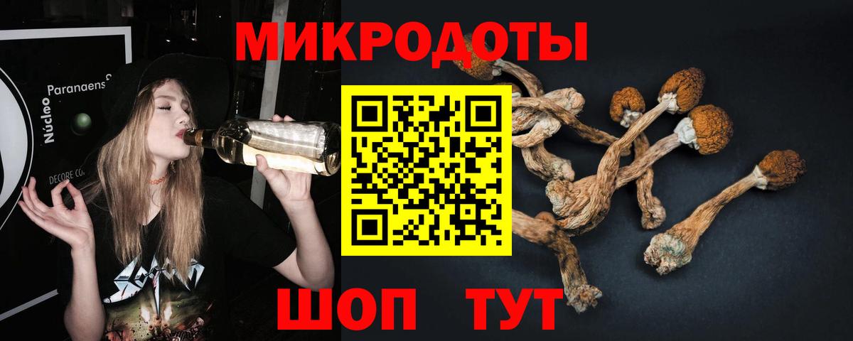 Новочебоксарск  Галлюциногенные грибы Psilocybine cubensis  Вход с VPN  Галлюциногенные грибы Magic Shrooms 