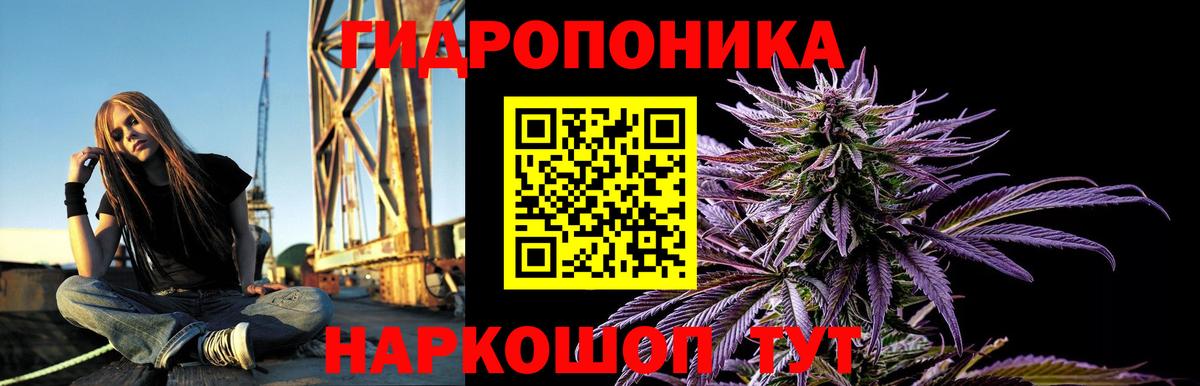Новочебоксарск  Шишки марихуана Amnesia  Вход с VPN  Марихуана план  Каннабис Bruce Banner 